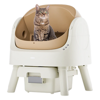 Off-White With Brown